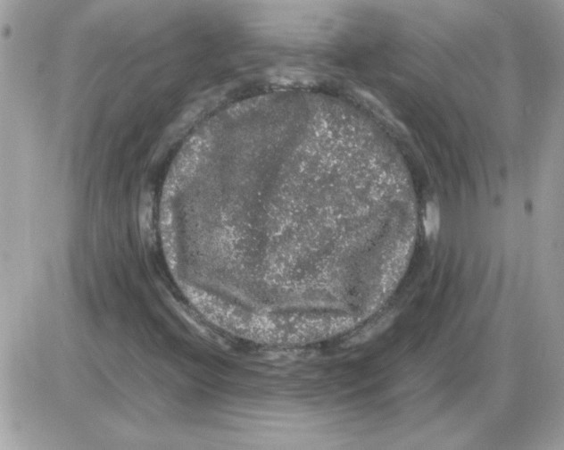 X0000085841396200704132051