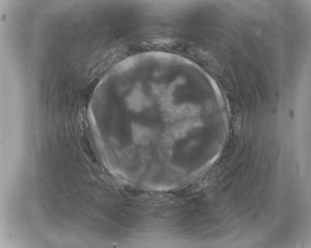 X0000085841397200704132051