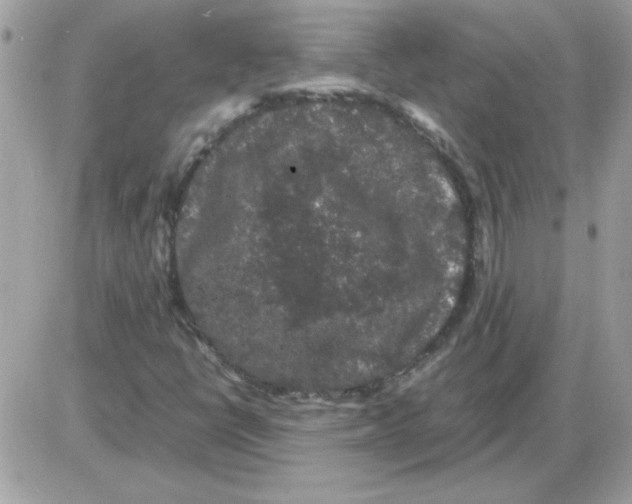 X0000085841398200704132051