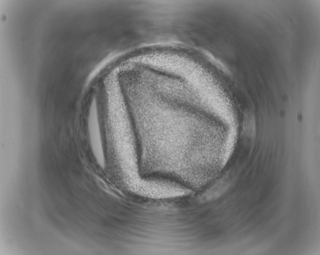 X0000085841400200704132051