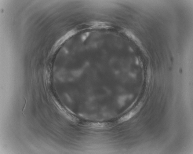 X0000085841401200704132051