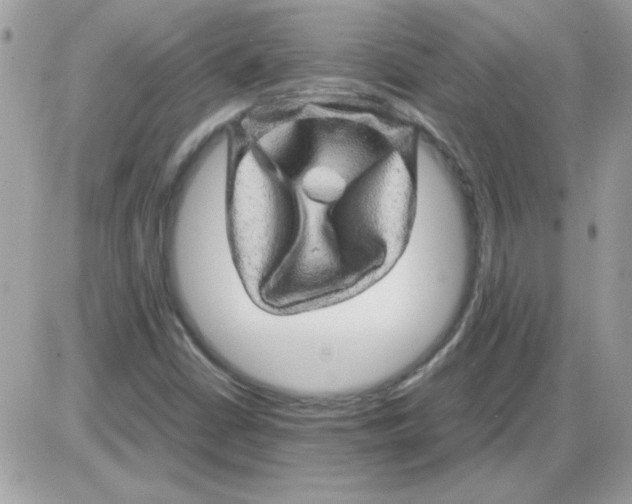 X0000085841402200704132051