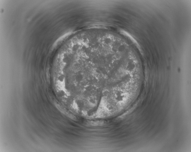 X0000085841403200704132051