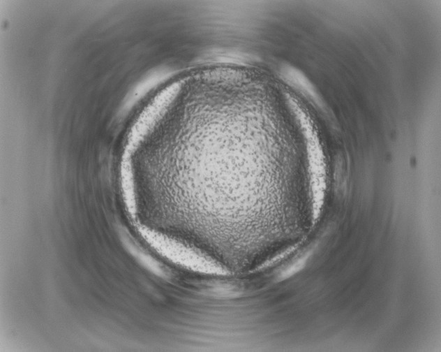 X0000085841404200704132051