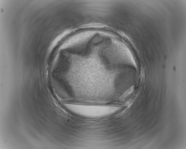 X0000085841406200704132051