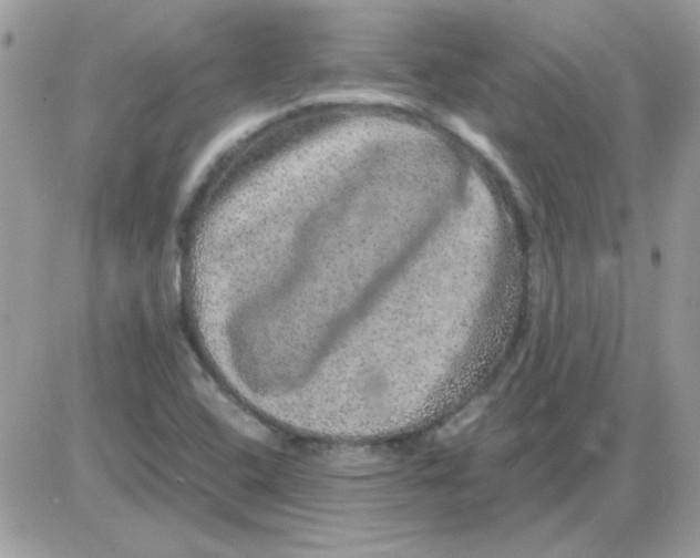 X0000085841408200704132051