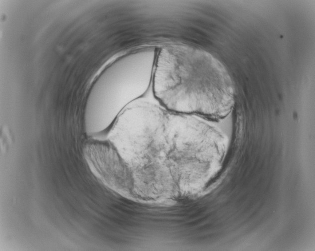 X0000085841409200704132051