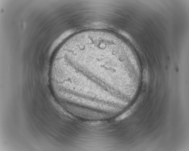 X0000085841410200704132051