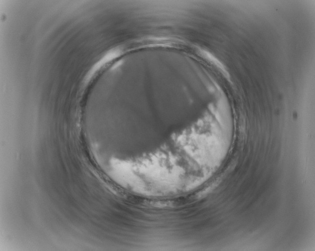 X0000085841411200704132051