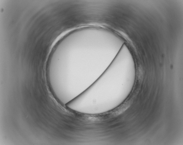 X0000085841412200704132051