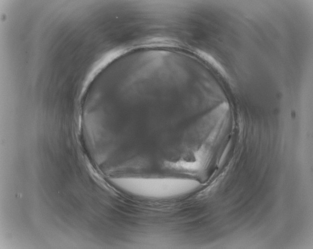 X0000085841413200704132051