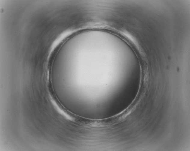 X0000085841414200704132051