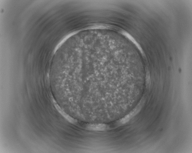 X0000085841417200704132051