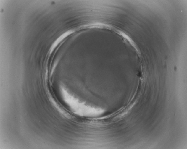 X0000085841418200704132051