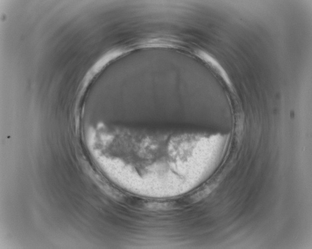 X0000085841419200704132051