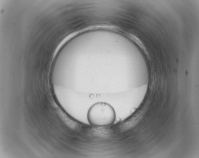 X0000085841420200704132051