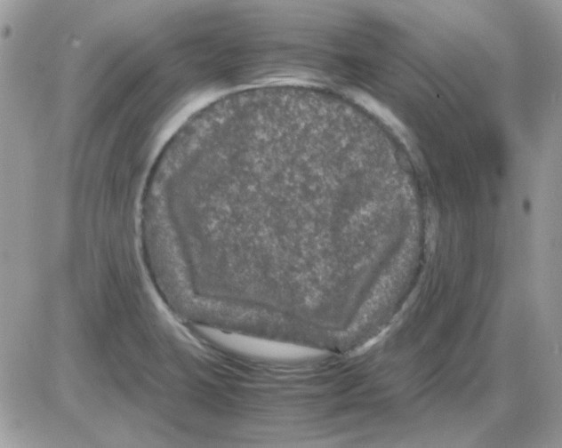 X0000085841423200704132052