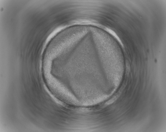 X0000085841424200704132052