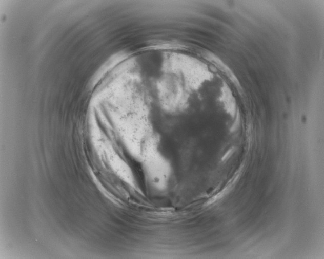 X0000085841425200704132052