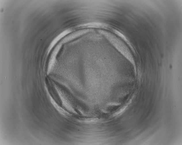 X0000085841426200704132052