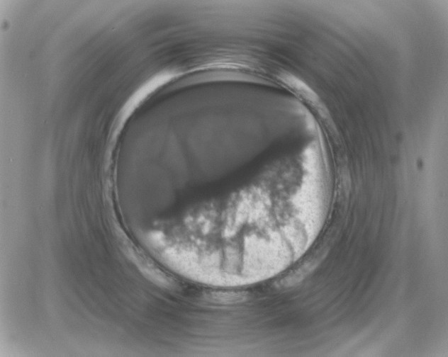 X0000085841427200704132052