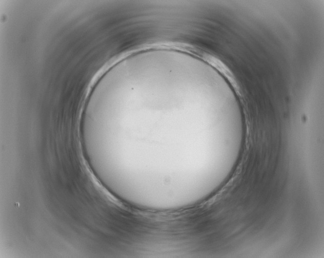 X0000085841428200704132052