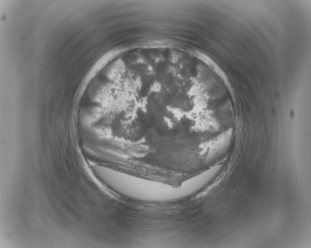 X0000085841429200704132052