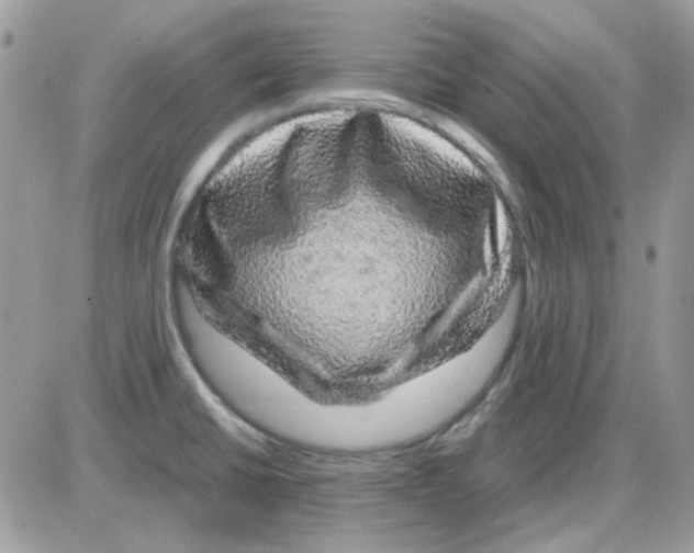 X0000085841430200704132052