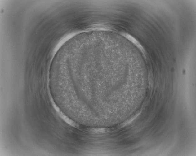 X0000085841431200704132052