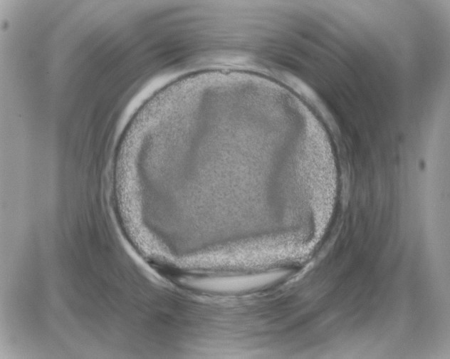 X0000085841432200704132052