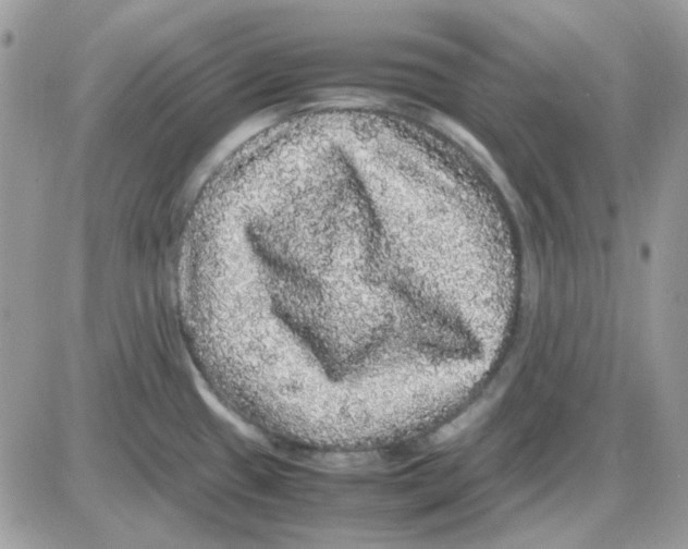 X0000085841433200704132052