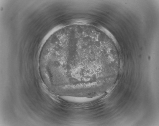 X0000085841435200704132052