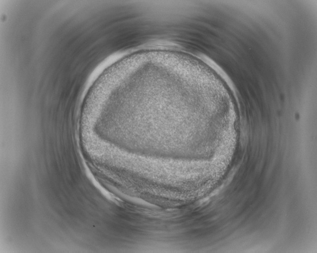 X0000085841437200704132052