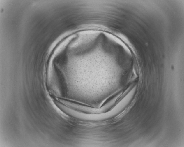 X0000085841438200704132052