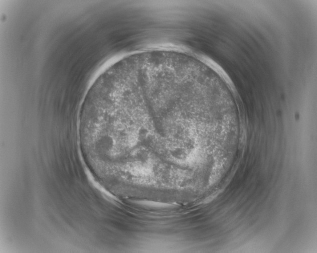 X0000085841439200704132052