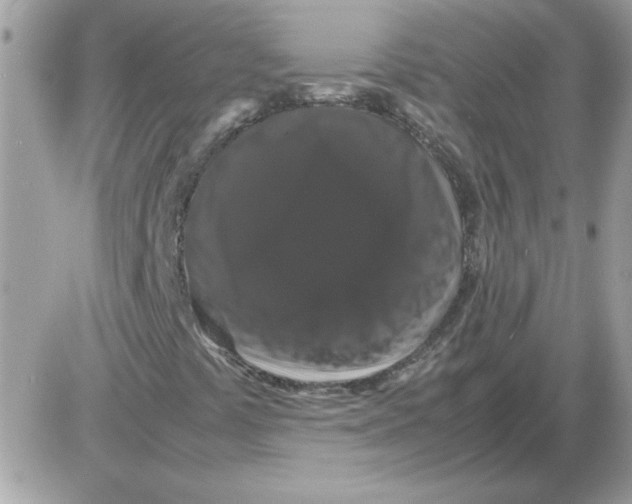 X0000085841441200704132051