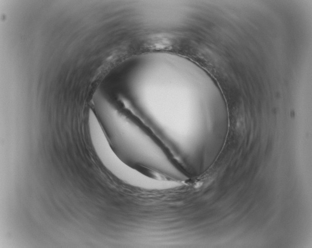 X0000085841442200704132051