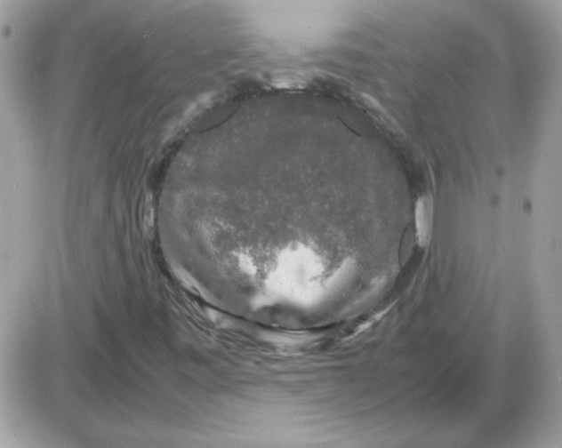 X0000085841443200704132051