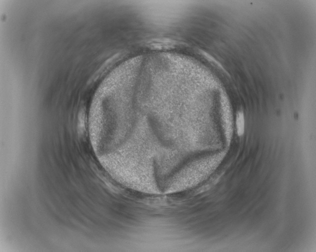 X0000085841444200704132051