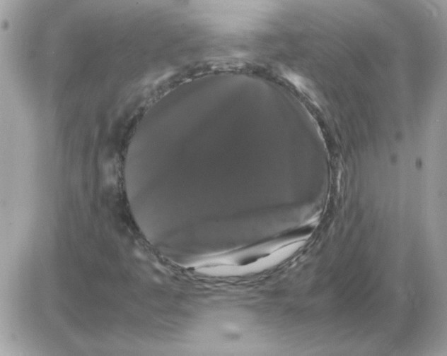 X0000085841445200704132051