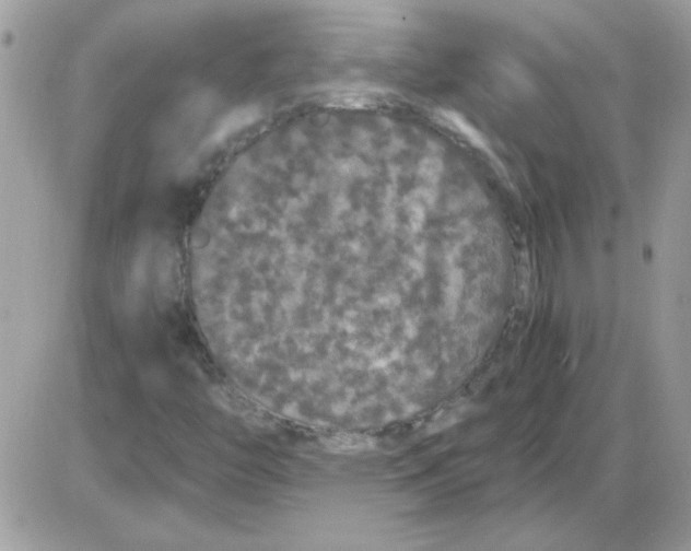 X0000085841446200704132051