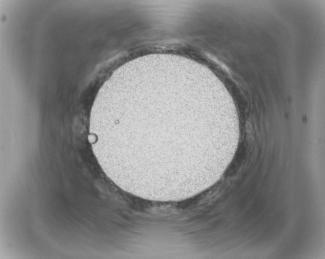 X0000085841447200704132051