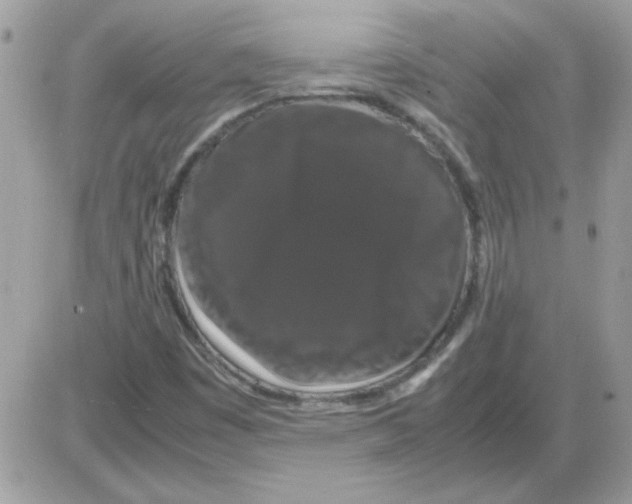 X0000085841449200704132051