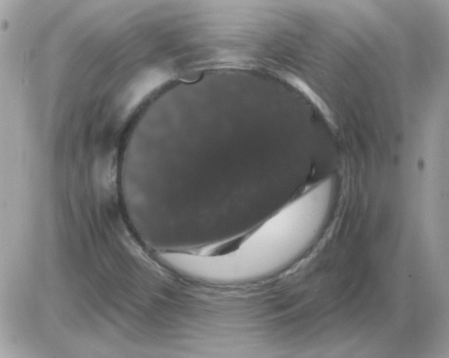 X0000085841450200704132051