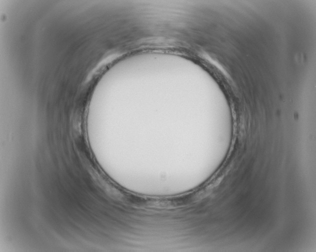 X0000085841451200704132051