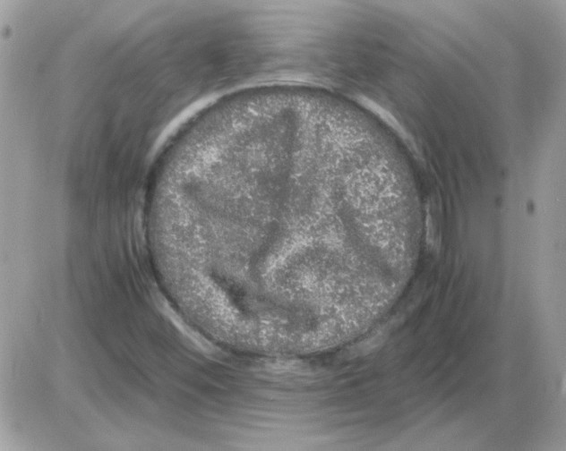 X0000085841452200704132051