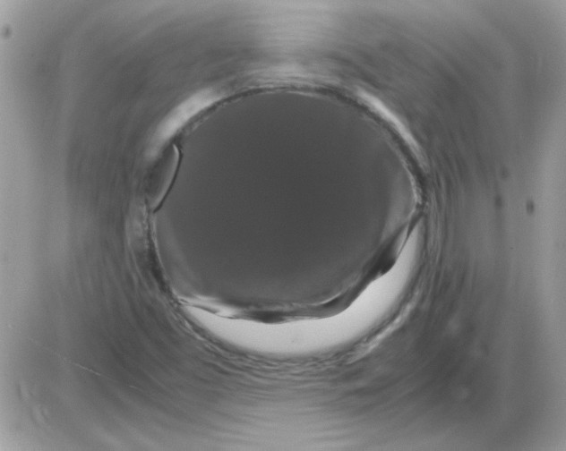 X0000085841453200704132051