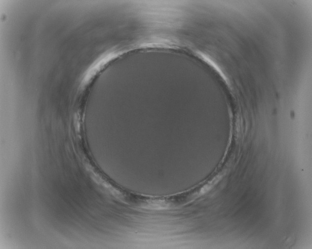 X0000085841455200704132051