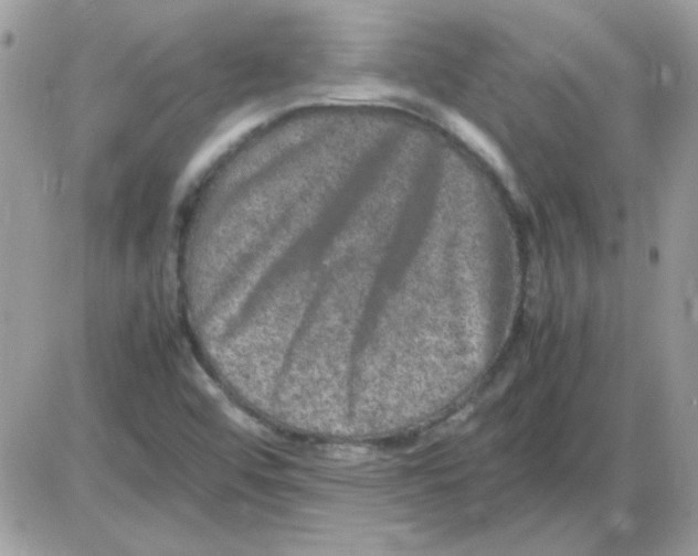 X0000085841456200704132051