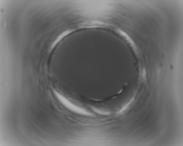 X0000085841457200704132051